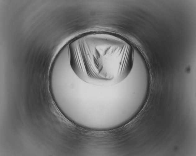 X0000115681280200912031411