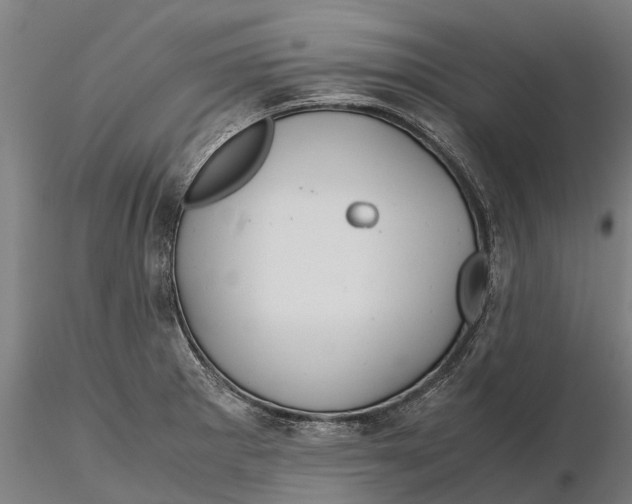 X0000115681281200912031411