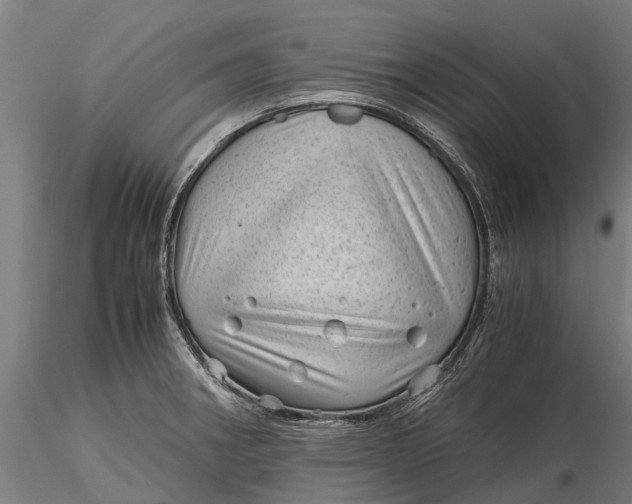 X0000115681282200912031411