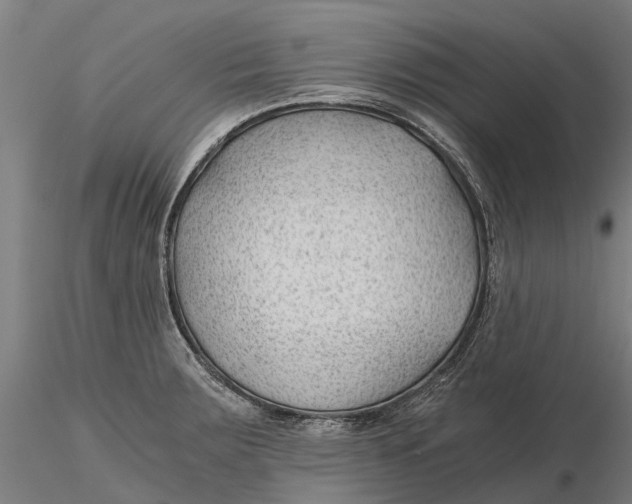 X0000115681283200912031411