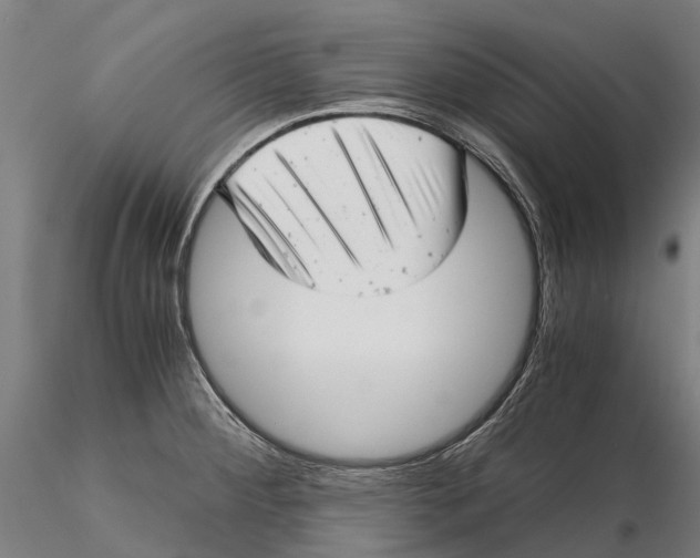 X0000115681284200912031411