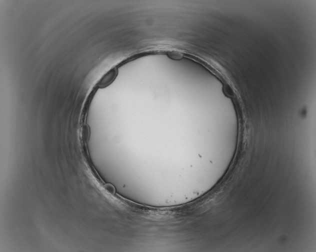 X0000115681285200912031411