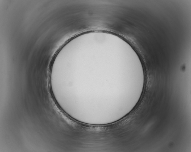 X0000115681286200912031411