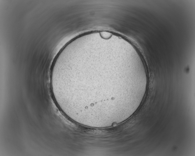 X0000115681287200912031411