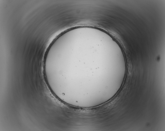 X0000115681288200912031411