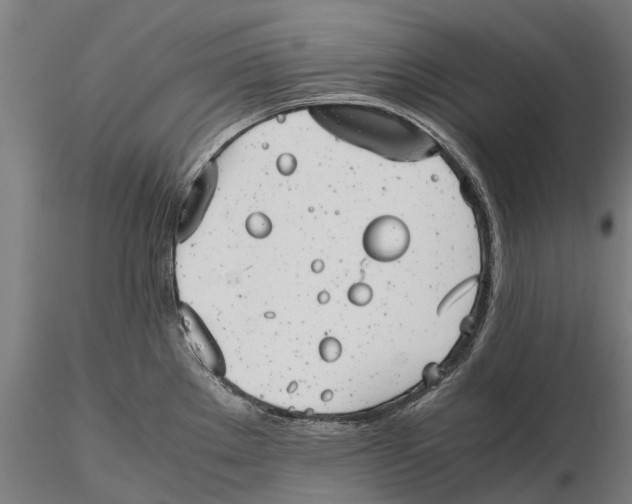 X0000115681289200912031411