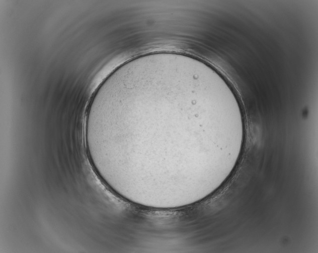 X0000115681290200912031411