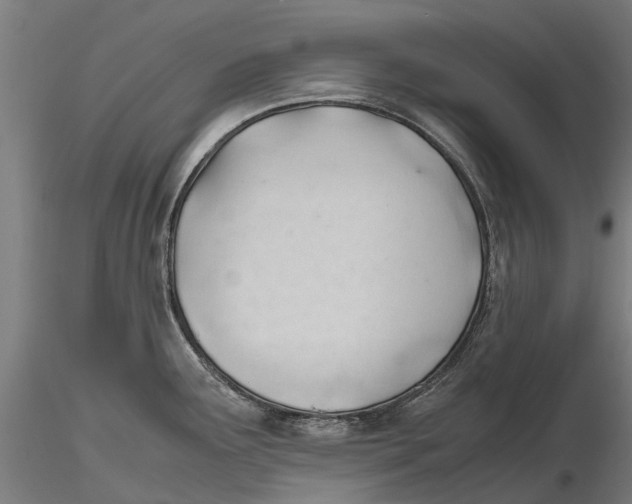 X0000115681291200912031411