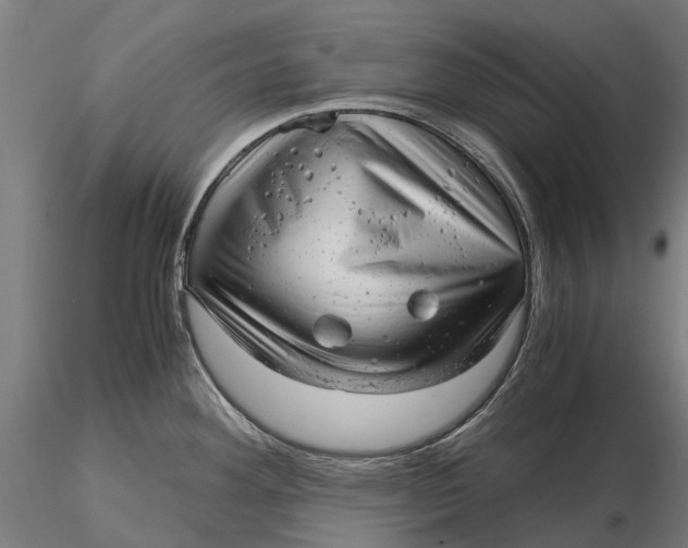 X0000115681292200912031411