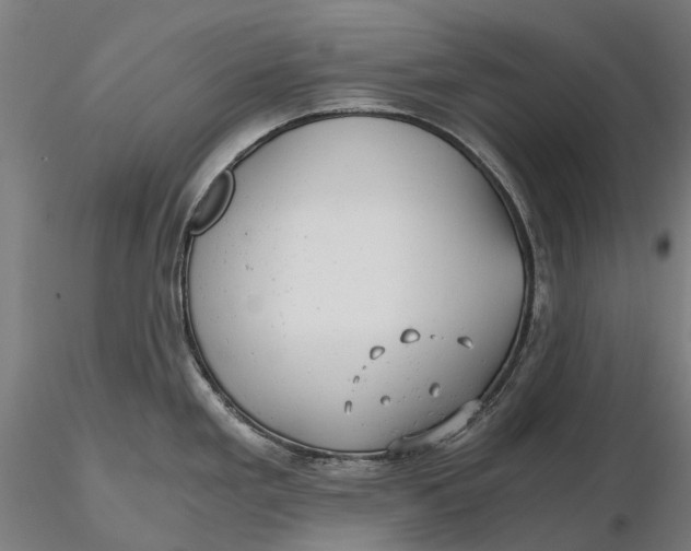 X0000115681293200912031411