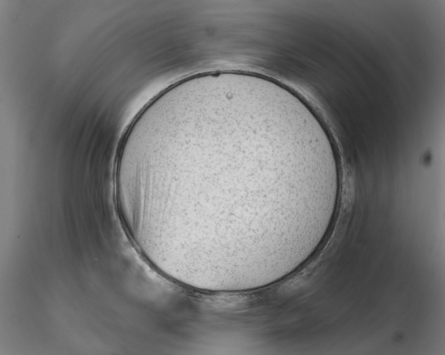 X0000115681294200912031411