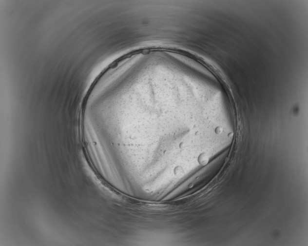 X0000115681295200912031411