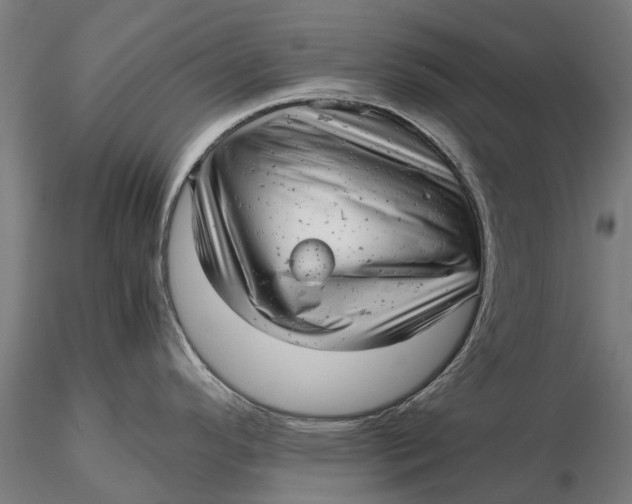 X0000115681296200912031411