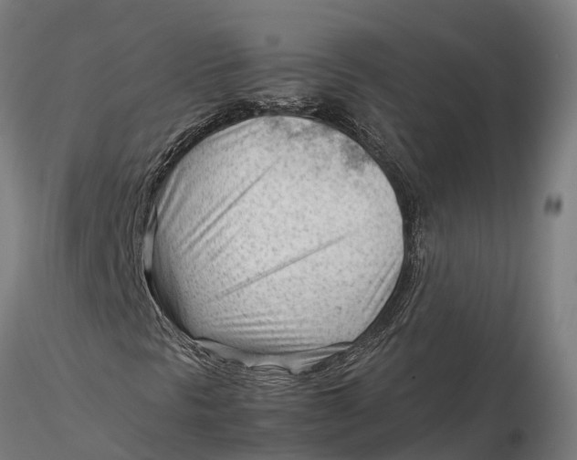 X0000115681297200912031410