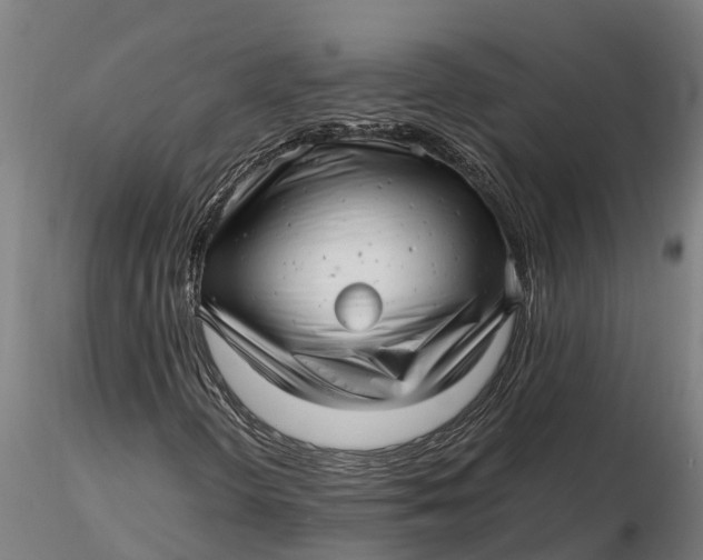 X0000115681298200912031410