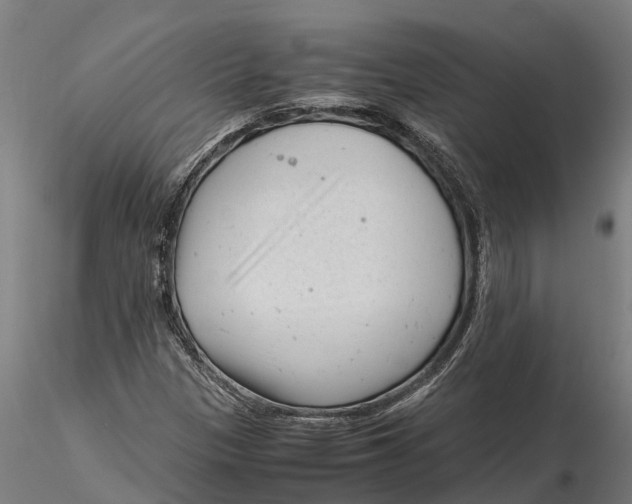 X0000115681305200912031410