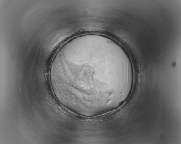 X0000115681306200912031410