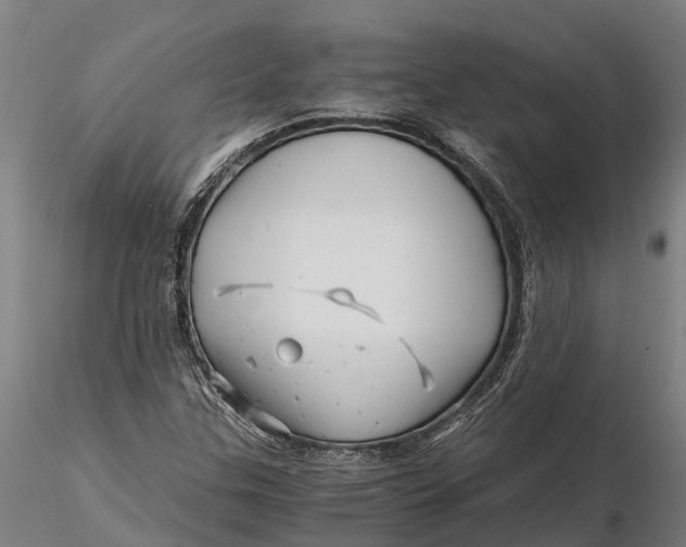 X0000115681307200912031410