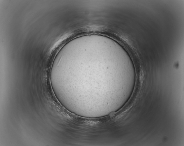 X0000115681309200912031410