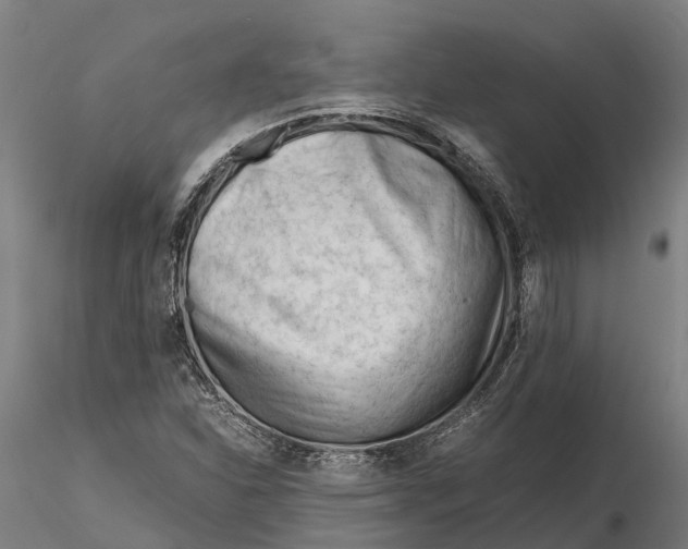 X0000115681310200912031410