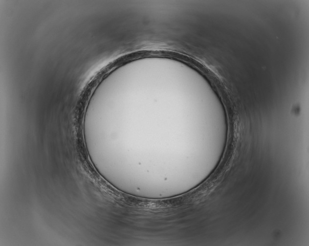 X0000115681311200912031410