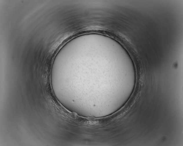 X0000115681313200912031410