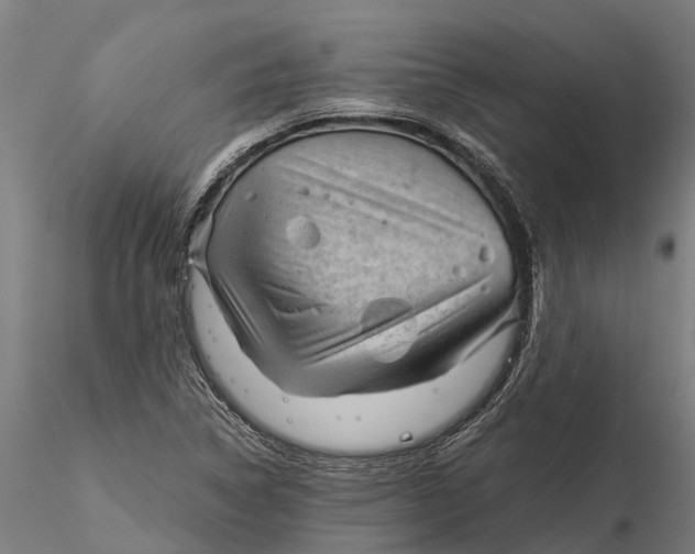 X0000115681314200912031410