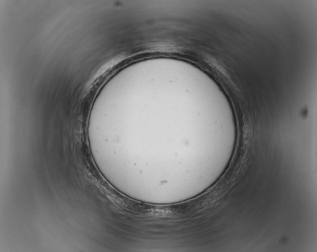 X0000115681315200912031410