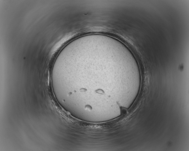 X0000115681317200912031410