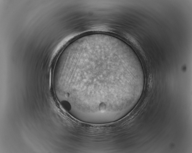 X0000115681323200912031410