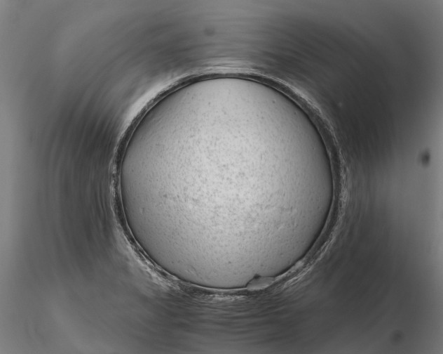 X0000115681325200912031410