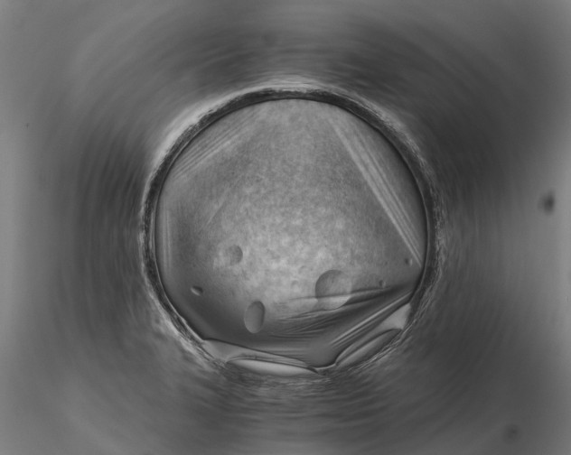 X0000115681327200912031410