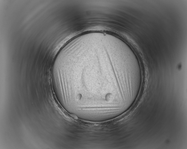 X0000115681329200912031410