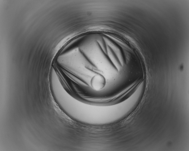 X0000115681330200912031410