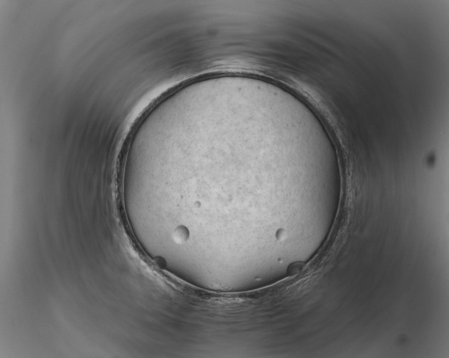 X0000115681331200912031410