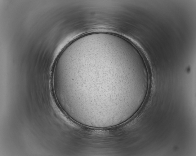 X0000115681333200912031410