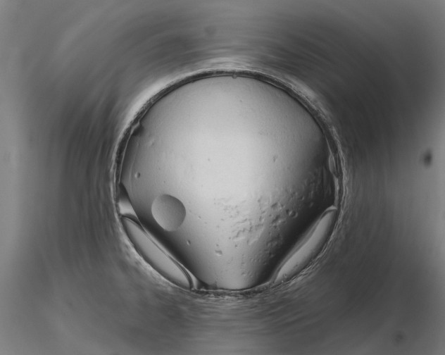 X0000115681334200912031410