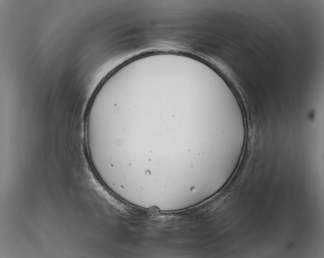 X0000115681335200912031411