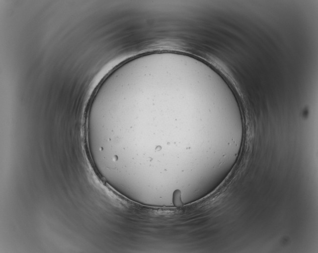 X0000115681339200912031411