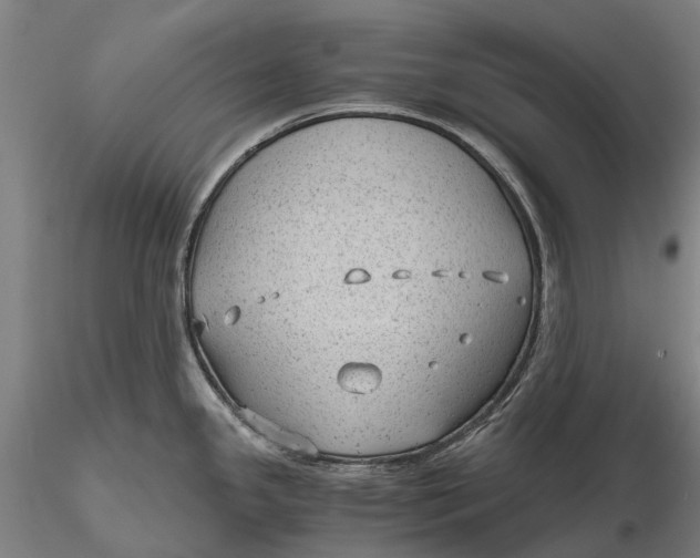 X0000115681341200912031411