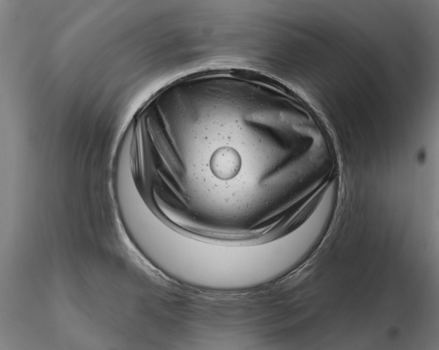 X0000115681342200912031411