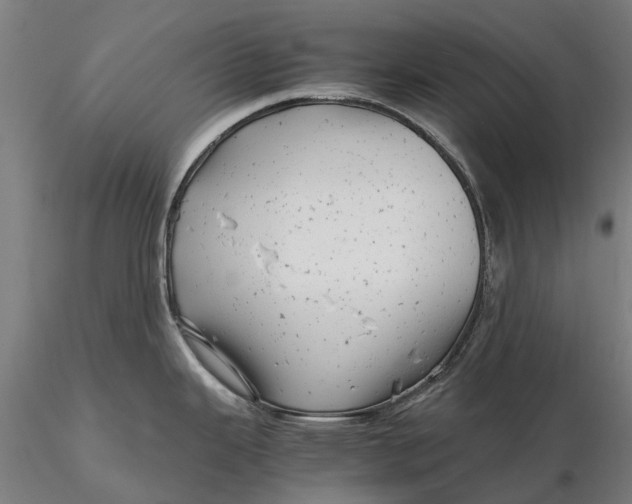 X0000115681343200912031411