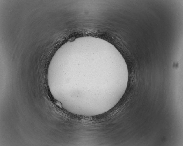 X0000115681345200912031410