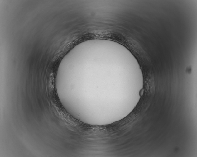 X0000115681346200912031410