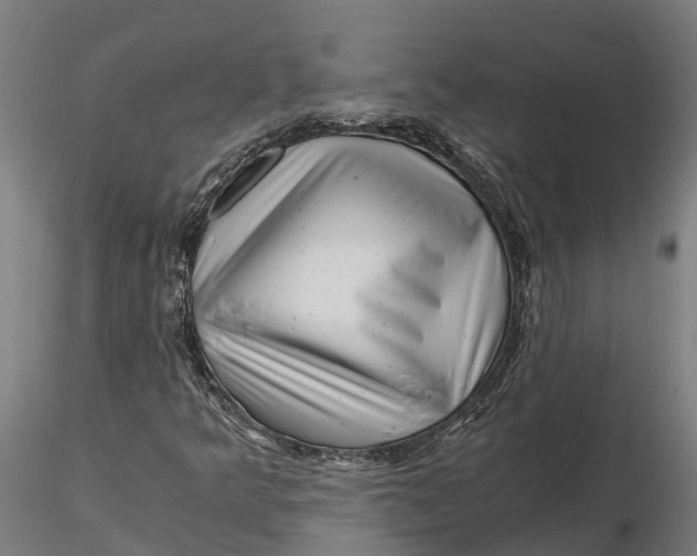 X0000115681349200912031410