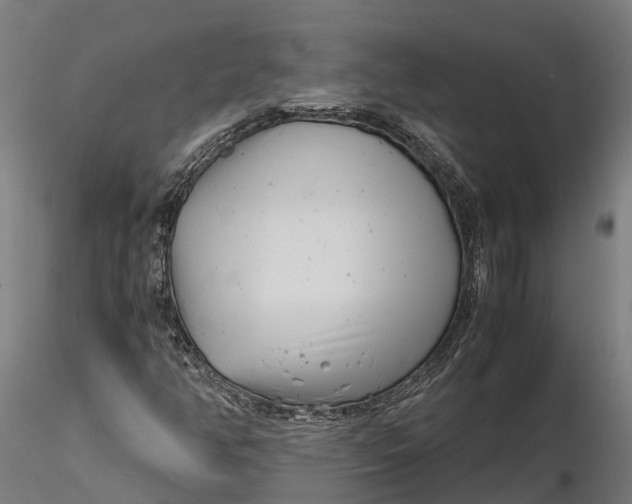 X0000115681350200912031410