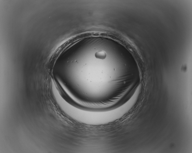 X0000115681352200912031410