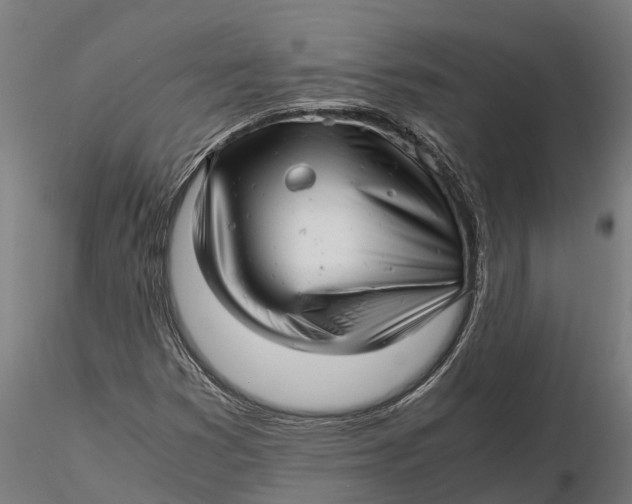 X0000115681353200912031410