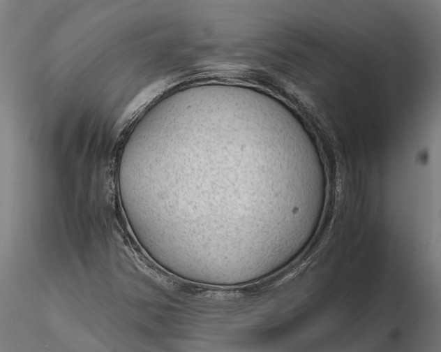 X0000115681354200912031410