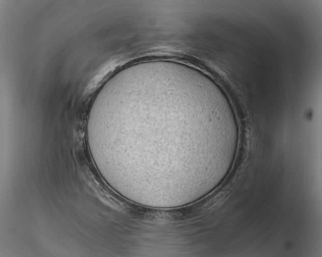 X0000115681355200912031410